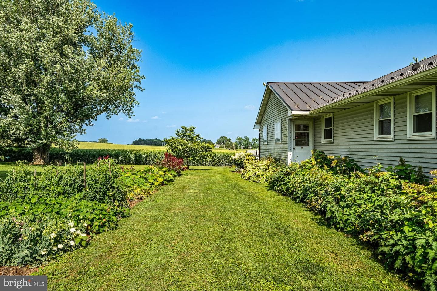 25 Freeman Road photo 14