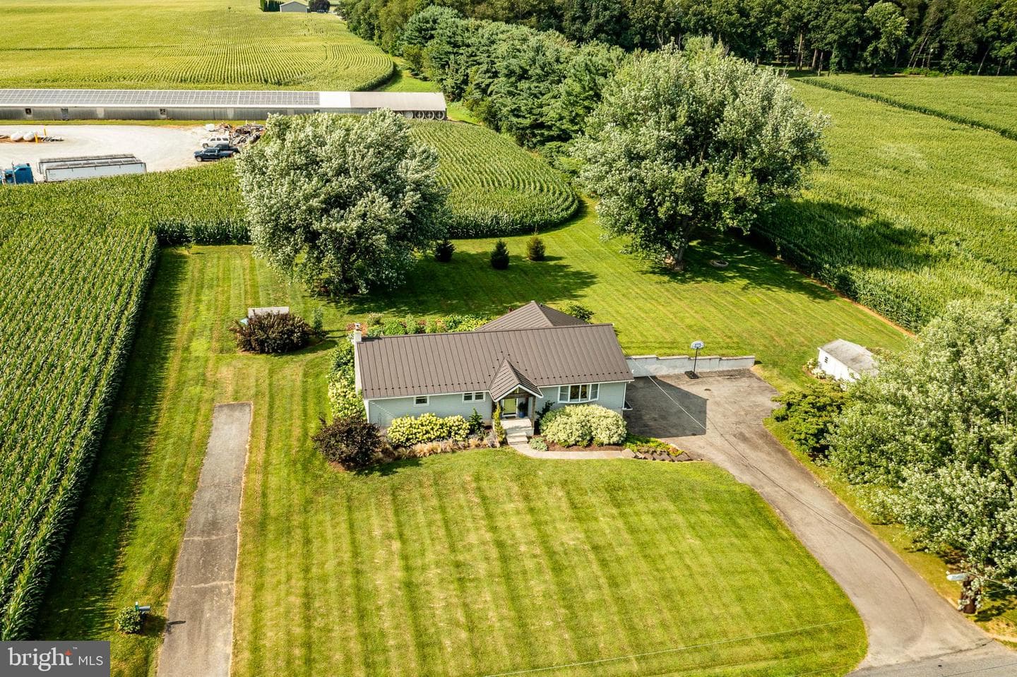25 Freeman Road photo 16