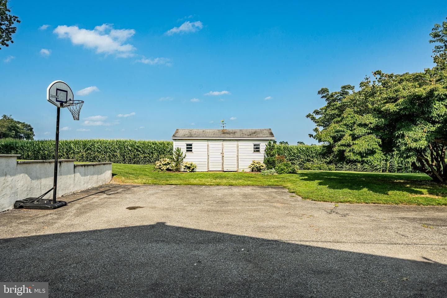 25 Freeman Road photo 9