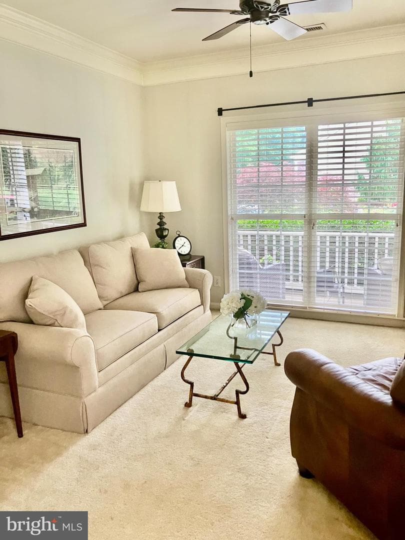 134 Lantana Drive photo 4
