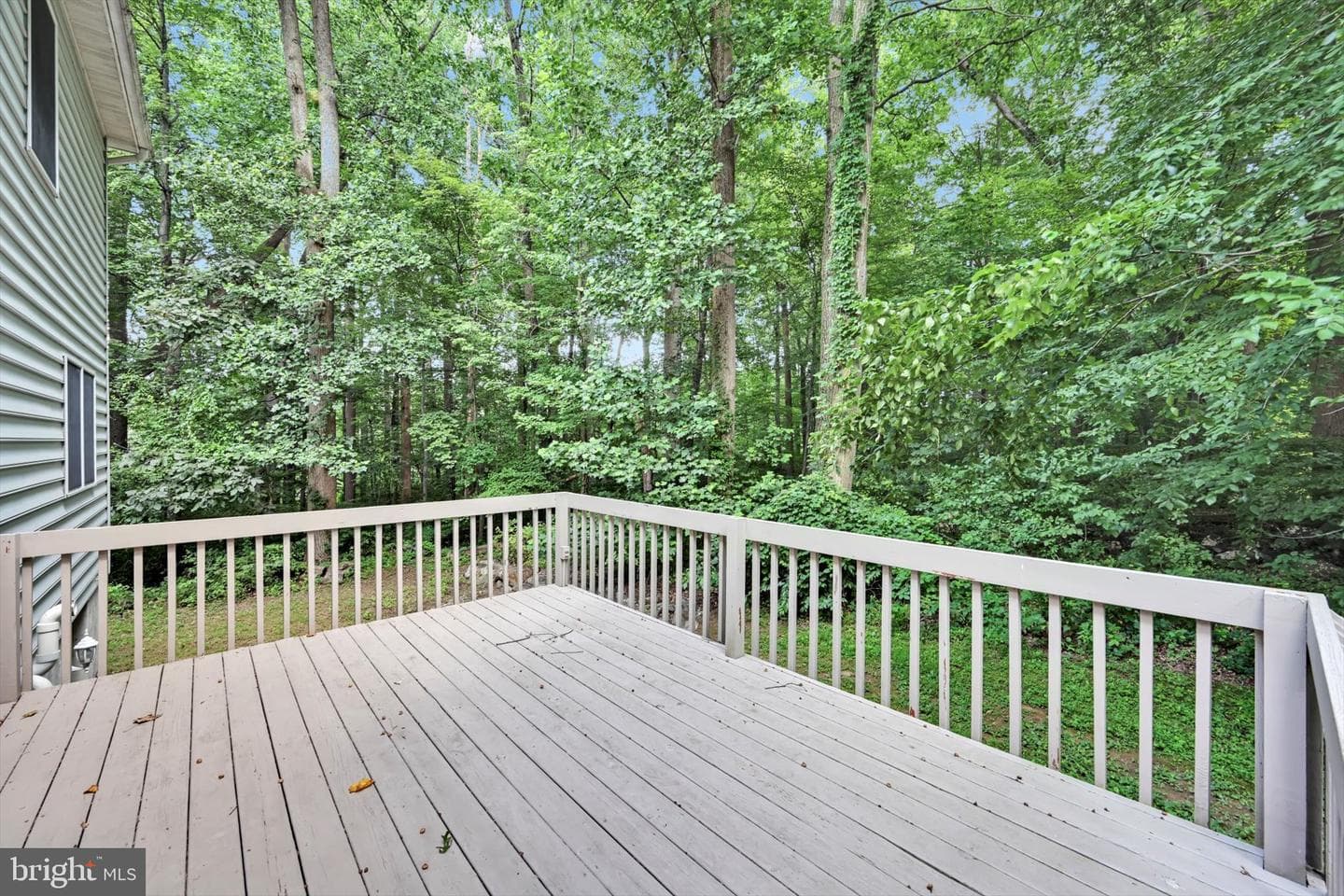 121 Lovell Lane photo 34