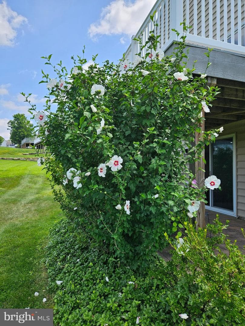 521 Gilmer Rd photo 77