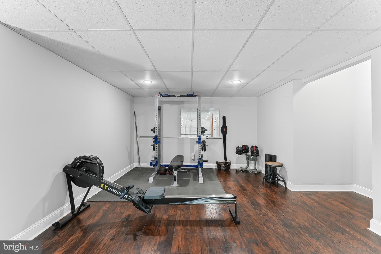 207 Honey Locust Drive photo 43