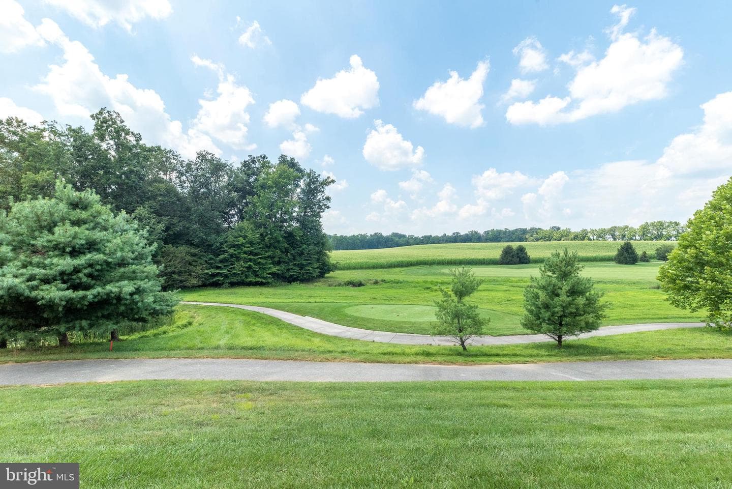 436 Hallman Court photo 3