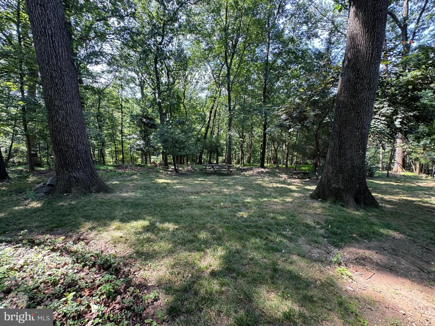 325 Greene Road photo 48