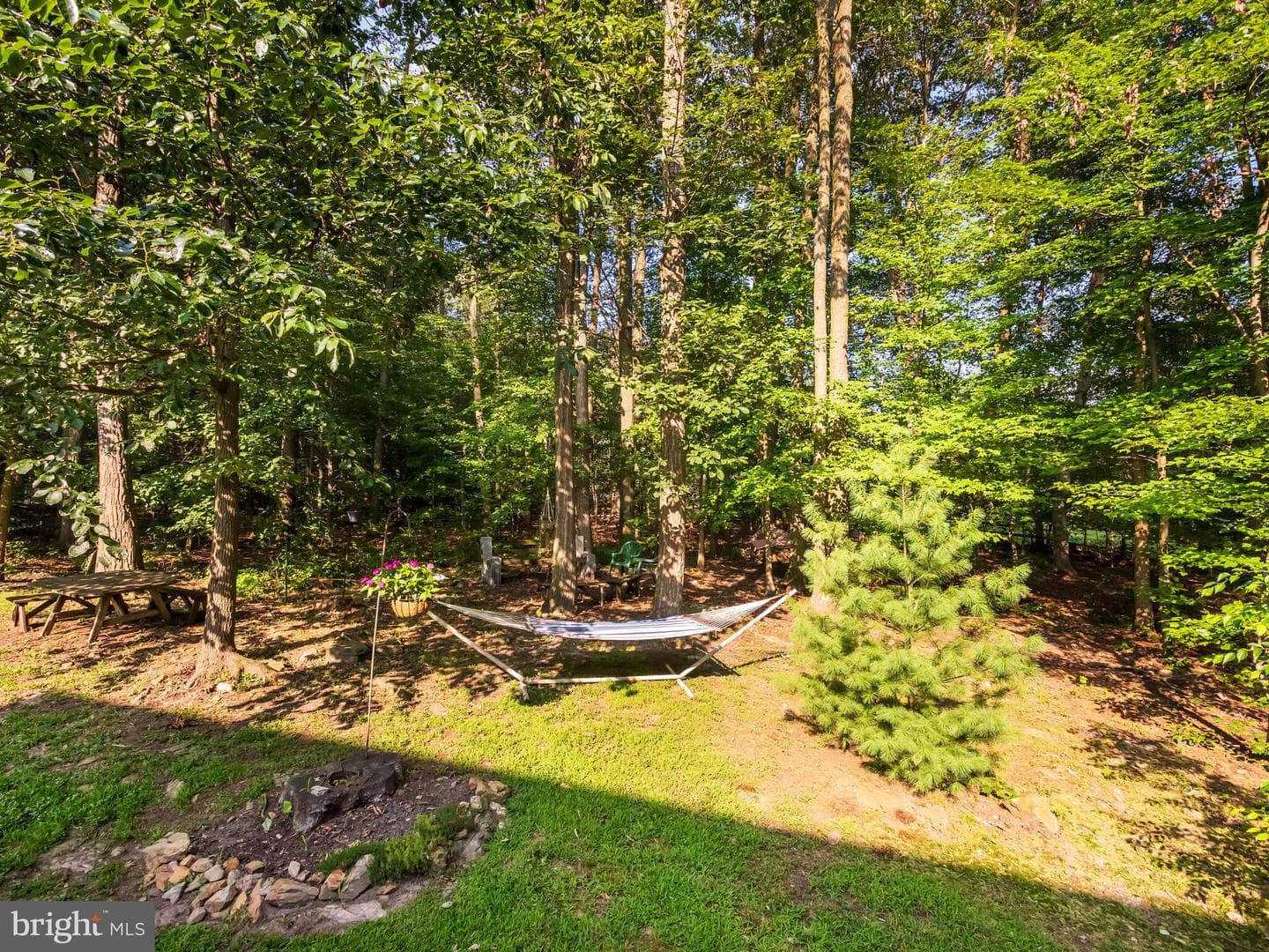 120 Acorn Way photo 46