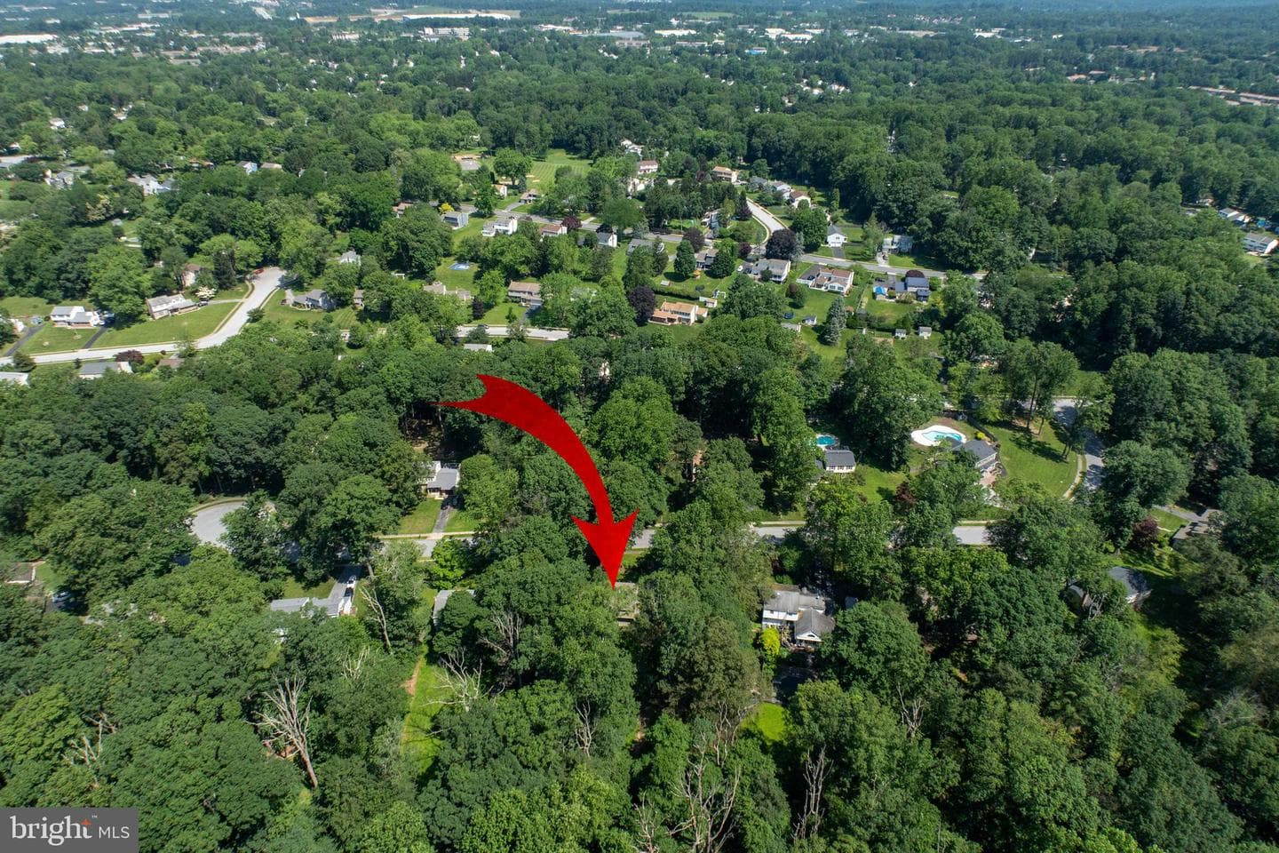 411 Rennard Drive photo 43
