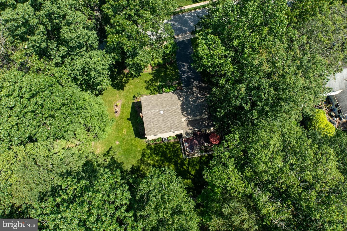 411 Rennard Drive photo 46
