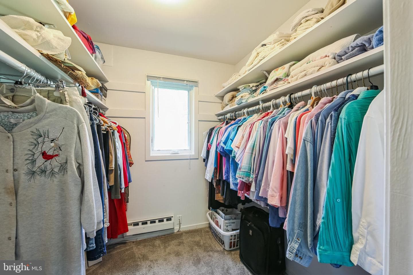 215 Chandler Drive #215 photo 19