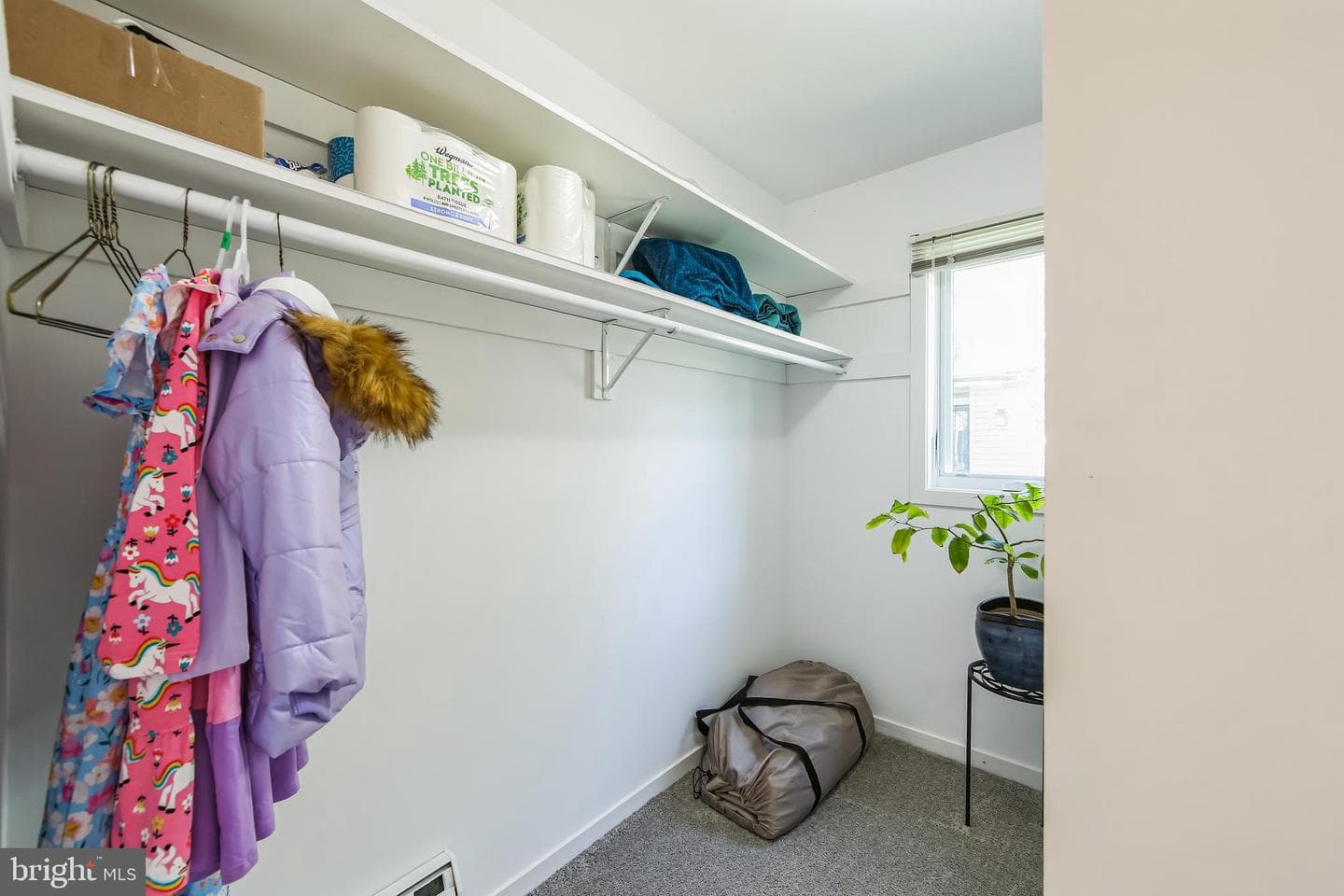 215 Chandler Drive #215 photo 26