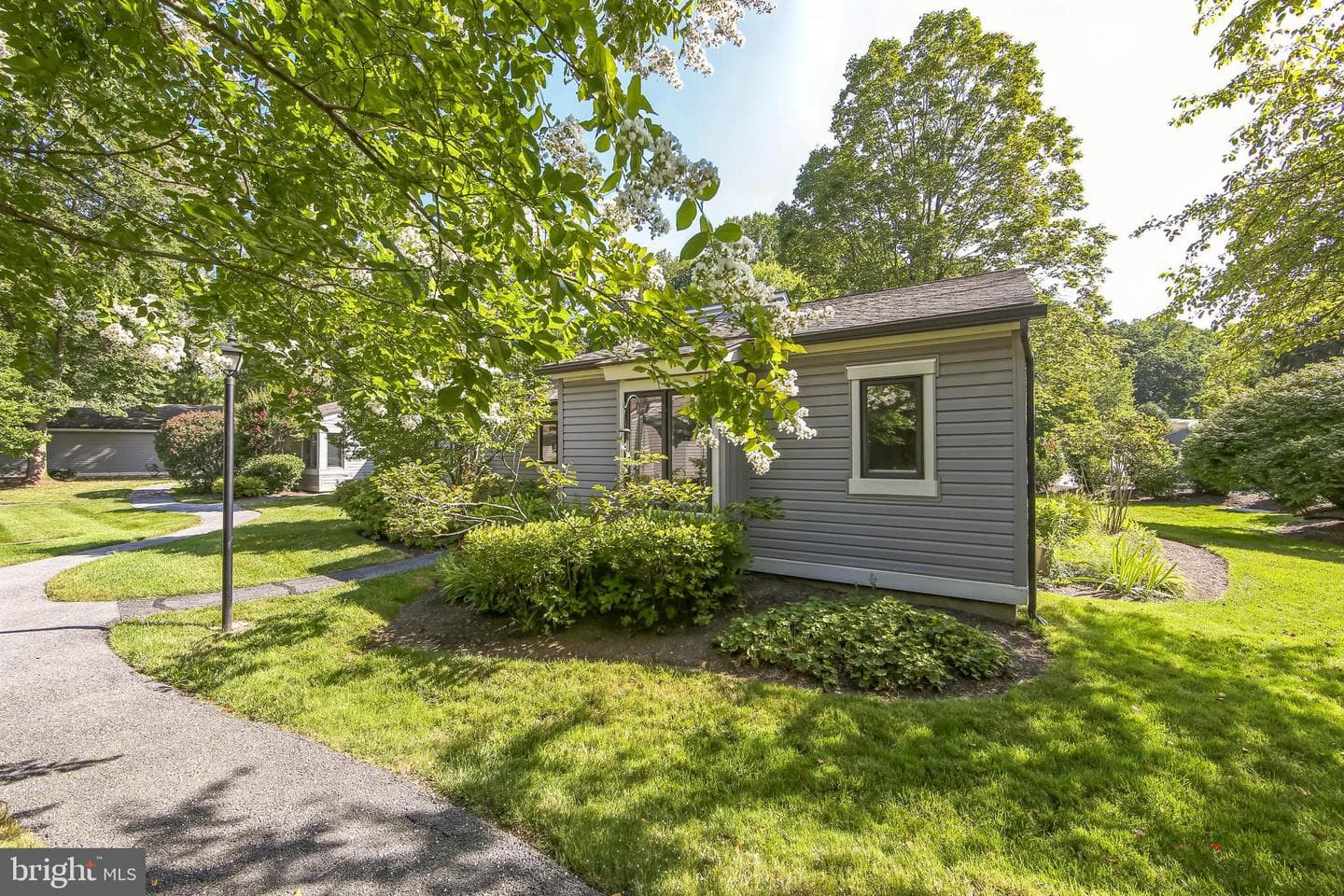 215 Chandler Drive #215 photo 3