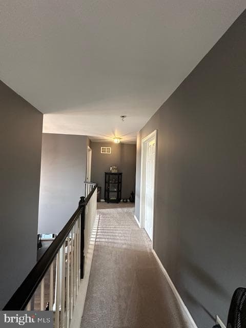 808 Hinchley Run photo 18