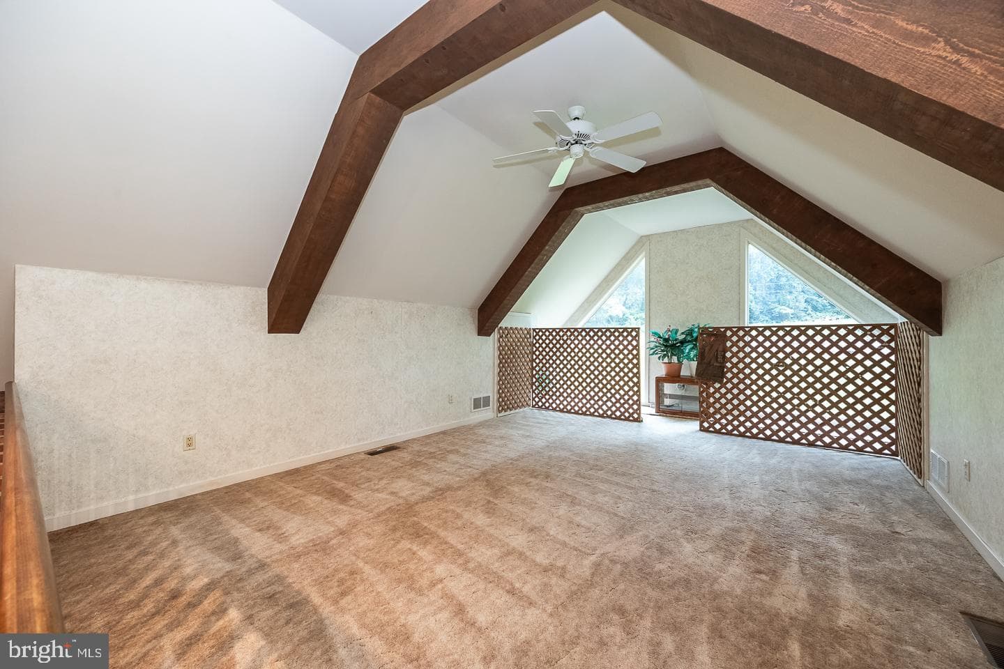 841 Cadmus Road photo 16
