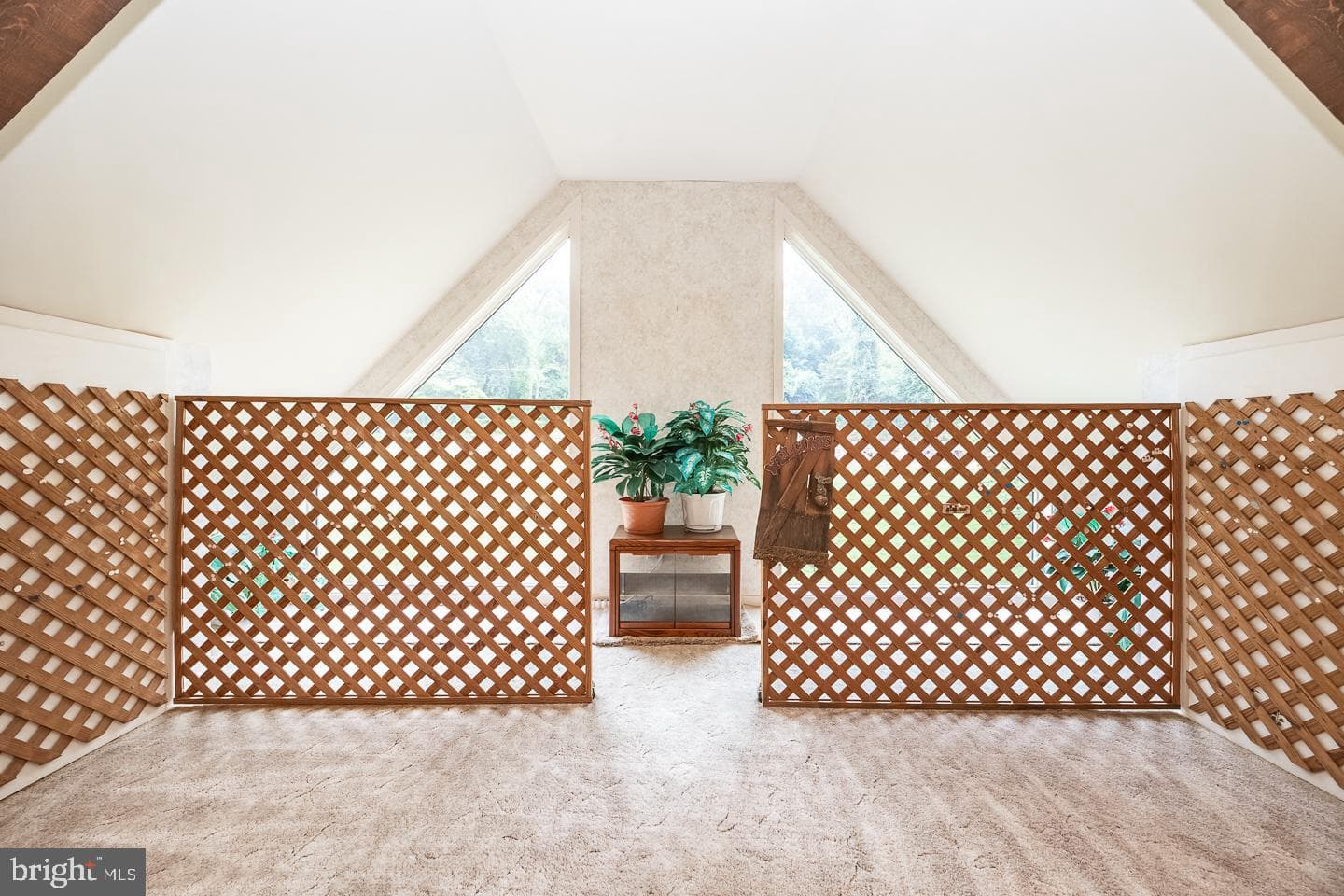 841 Cadmus Road photo 17