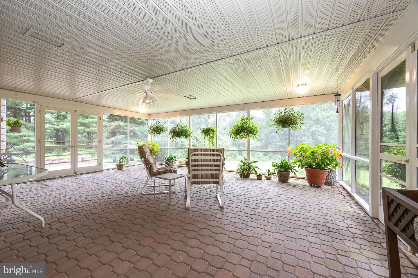841 Cadmus Road photo 42