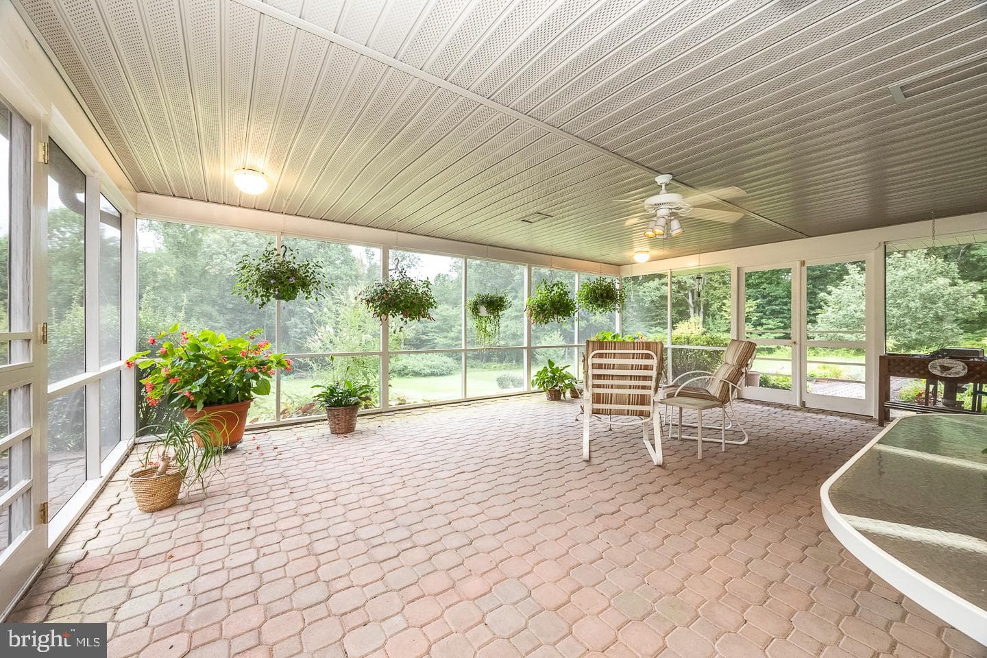 841 Cadmus Road photo 43