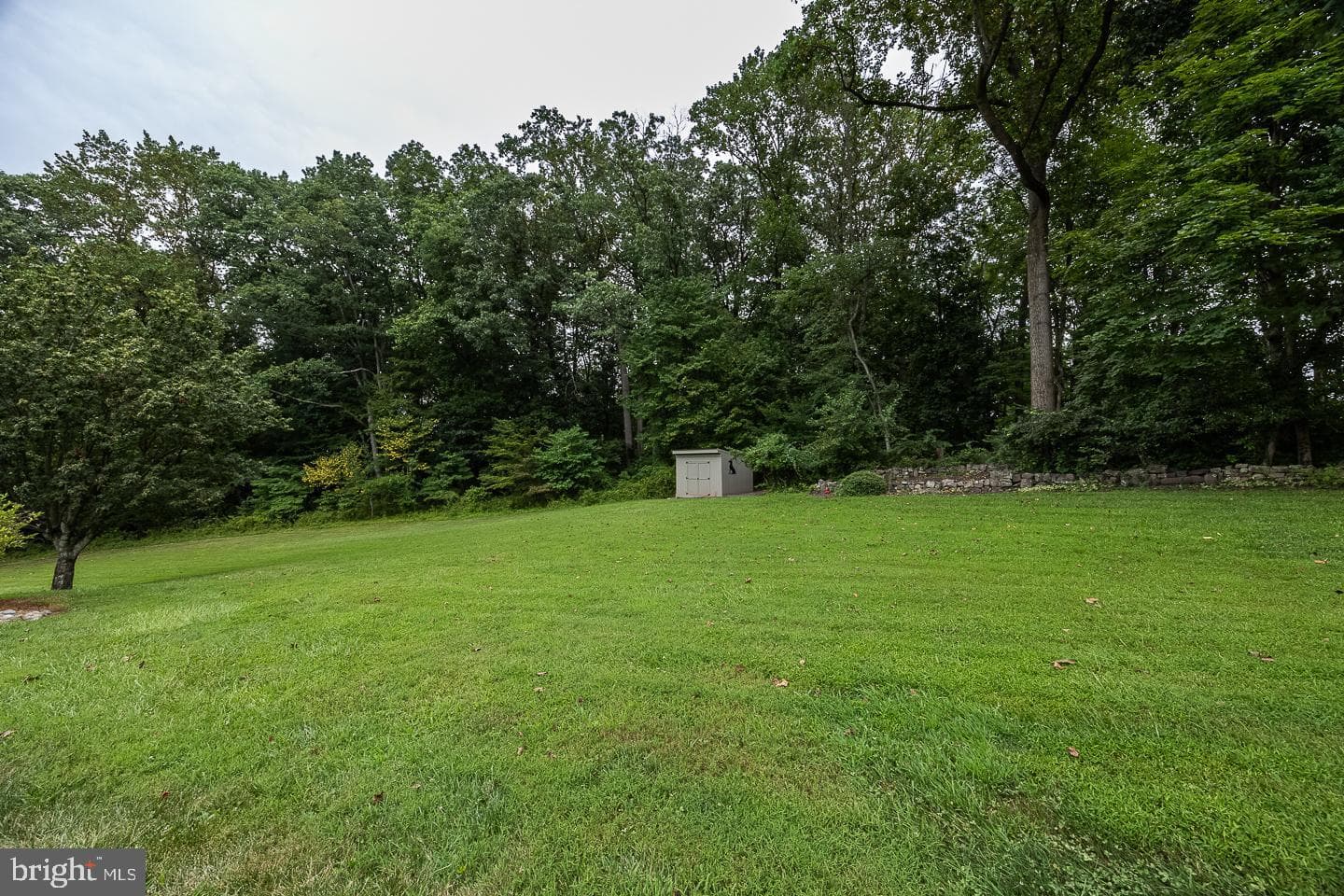 841 Cadmus Road photo 47