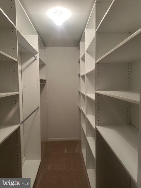 903 Raintree Lane #903 photo 19