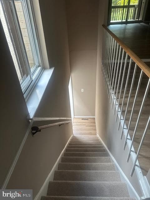 903 Raintree Lane #903 photo 7