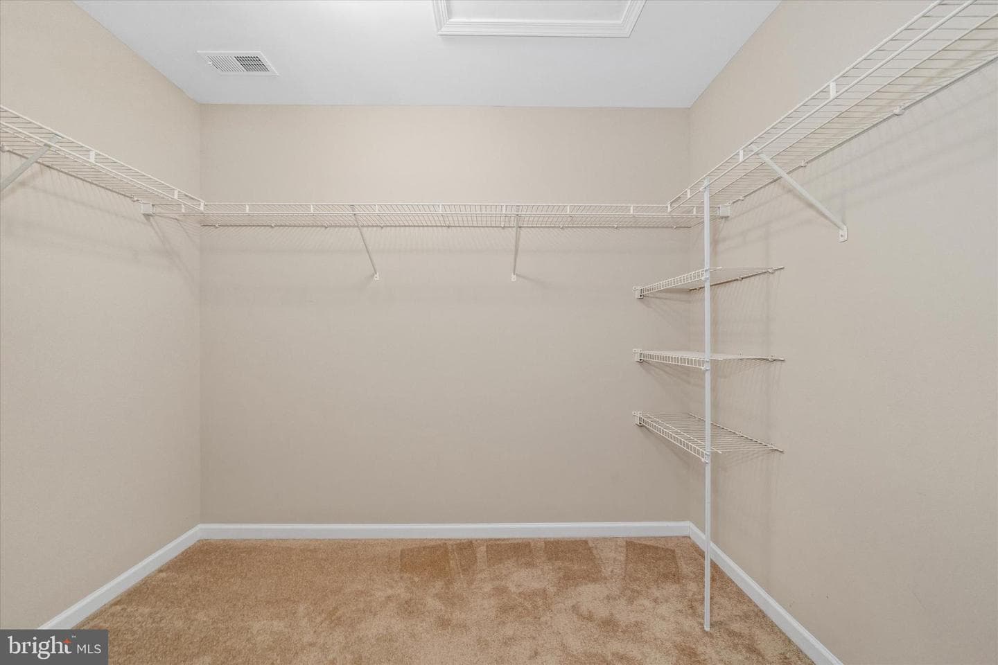 424 Buttonwood Lane photo 28
