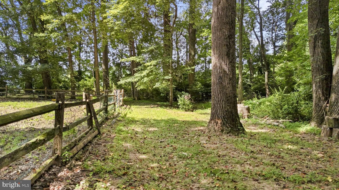 125 Westmoreland Drive photo 35