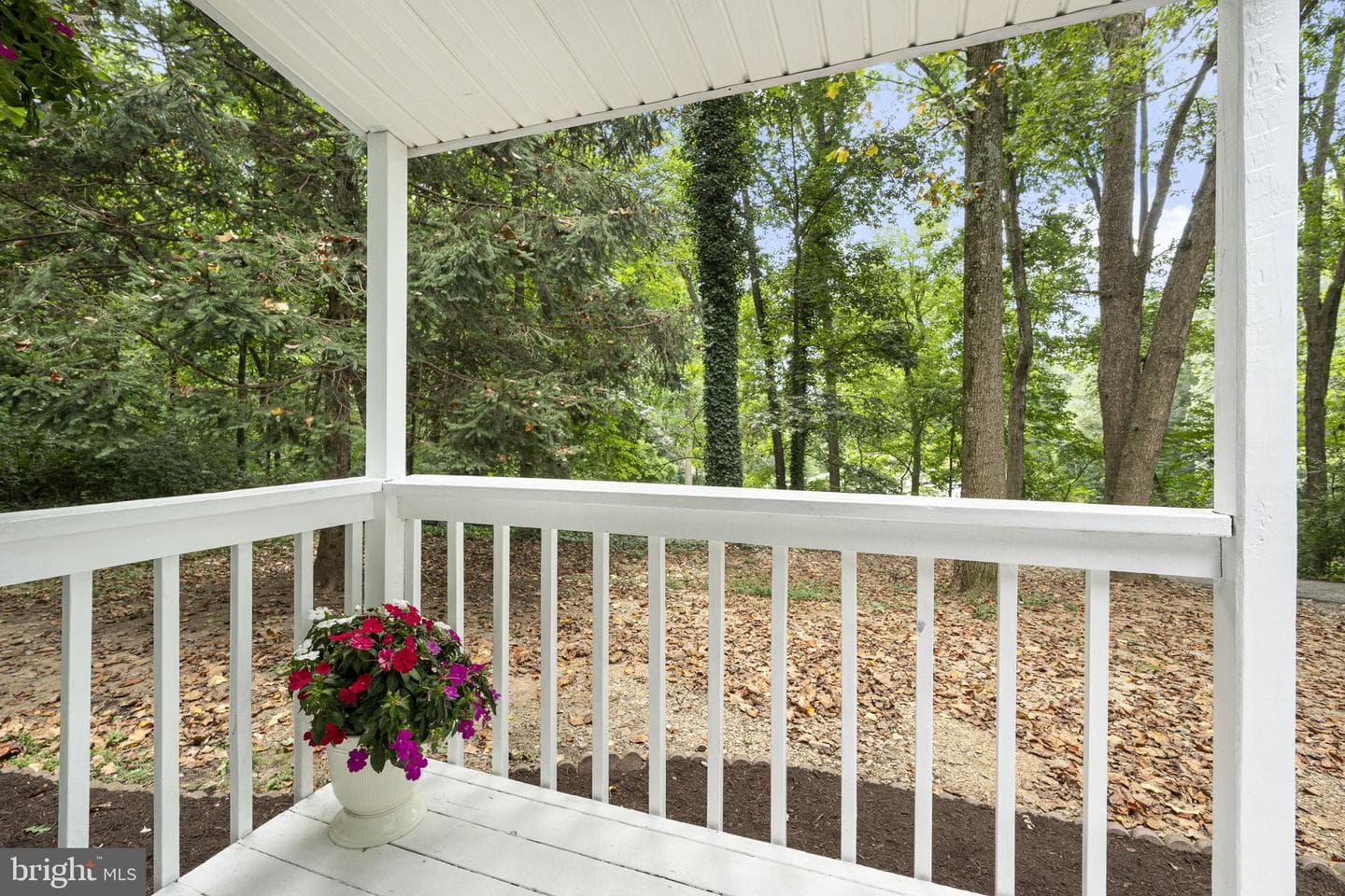 125 Westmoreland Drive photo 5