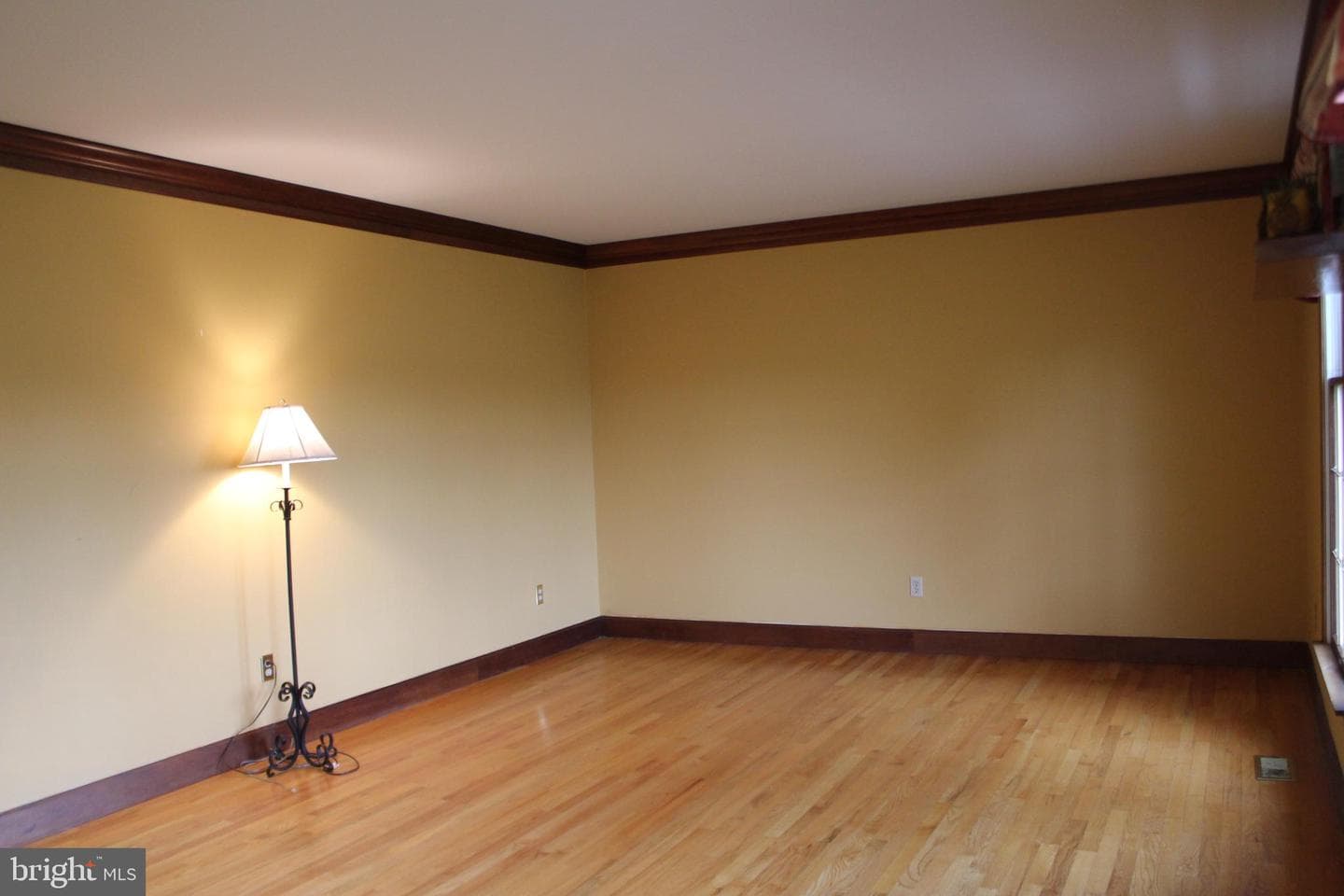 294 Starr photo 11