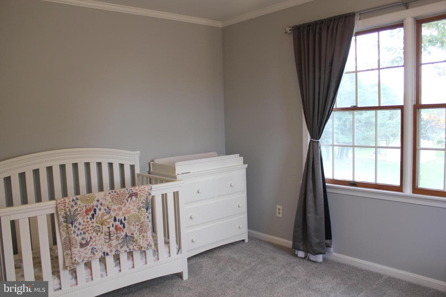 294 Starr photo 35