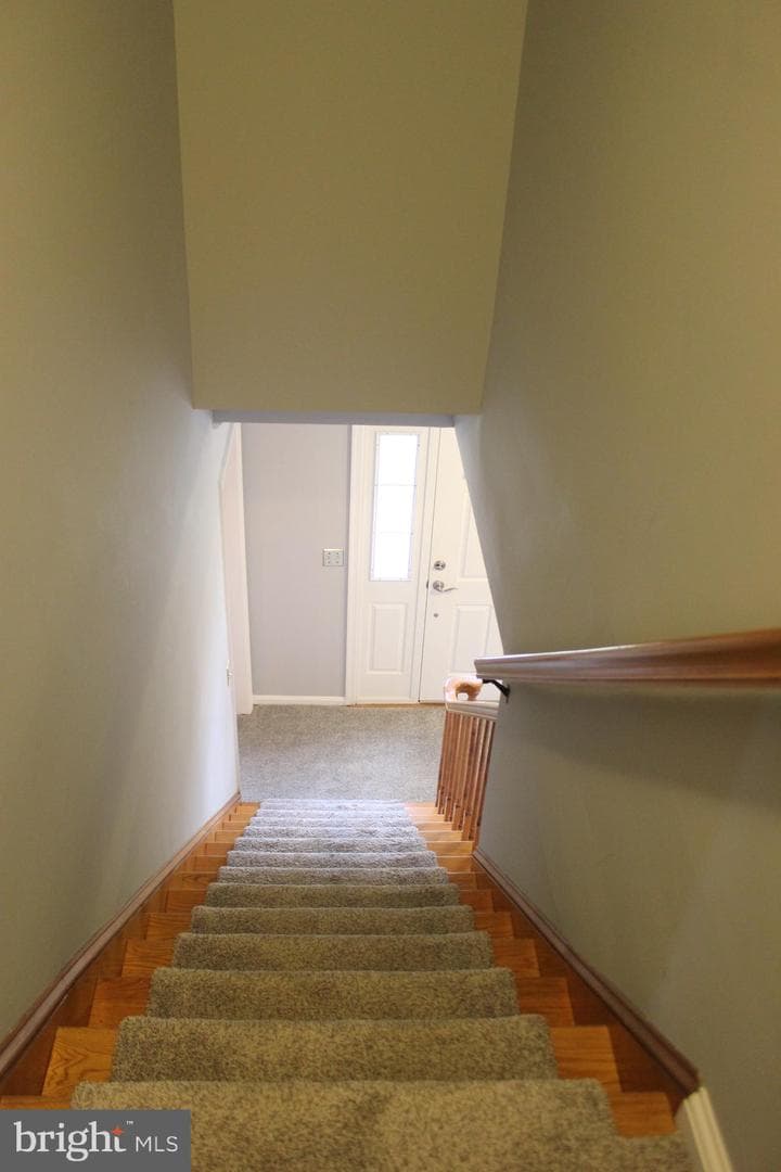 294 Starr photo 42
