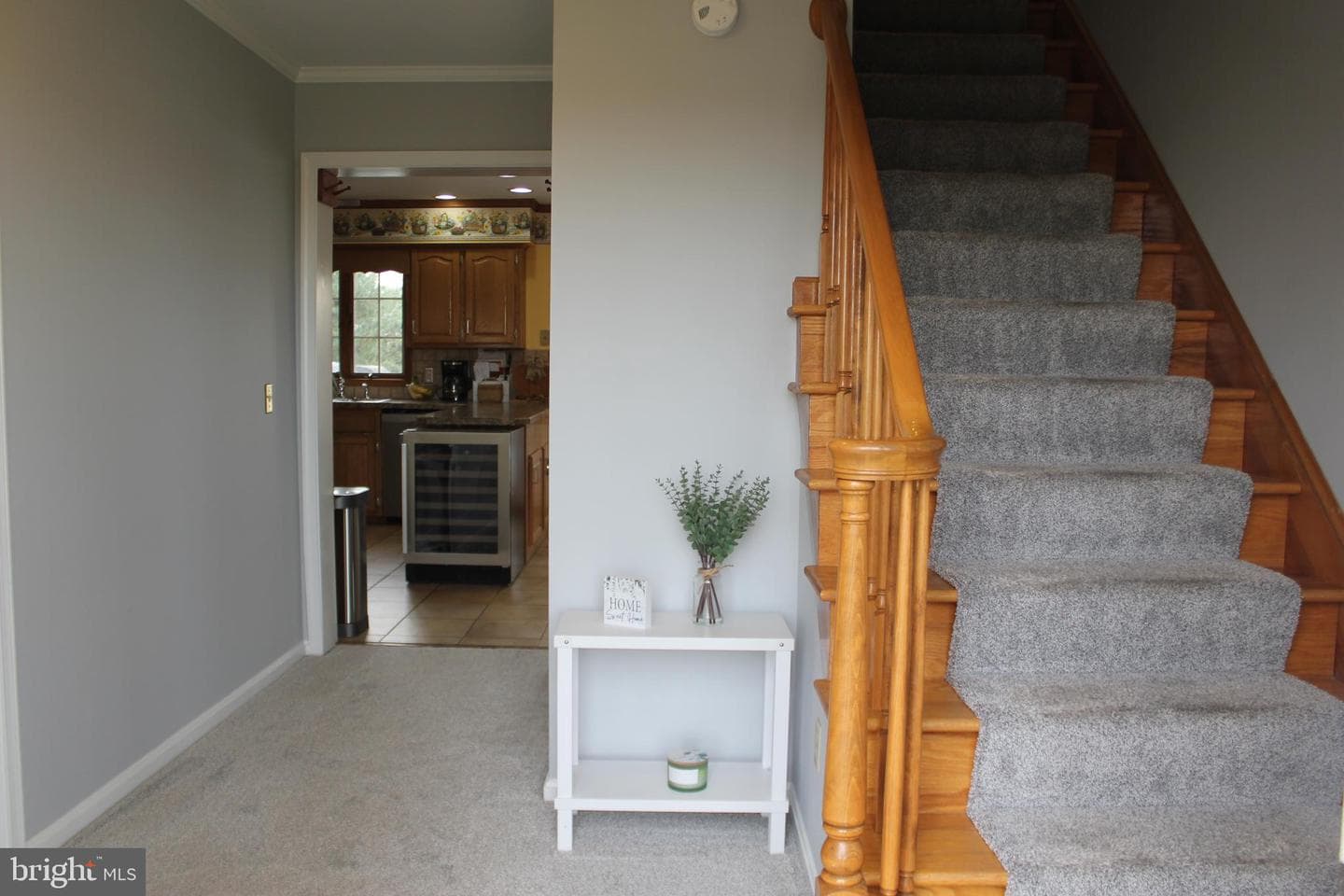 294 Starr photo 5