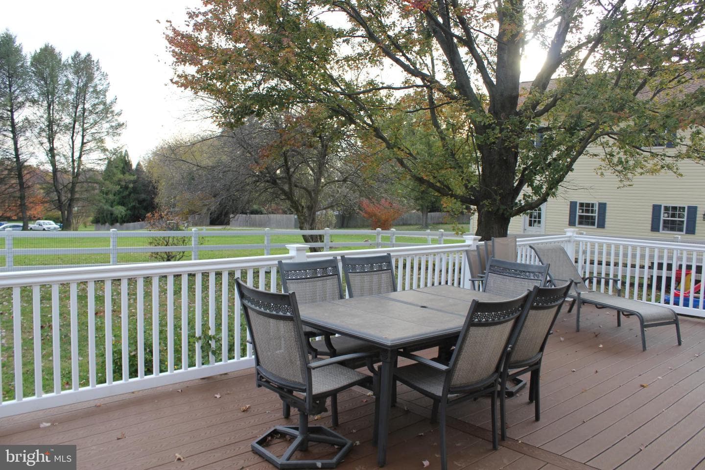 294 Starr photo 64
