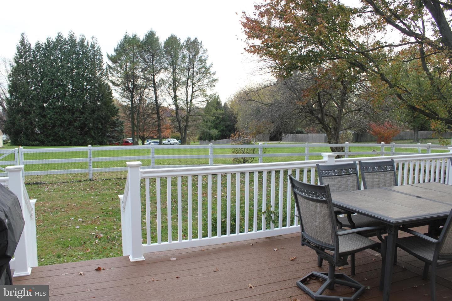 294 Starr photo 65