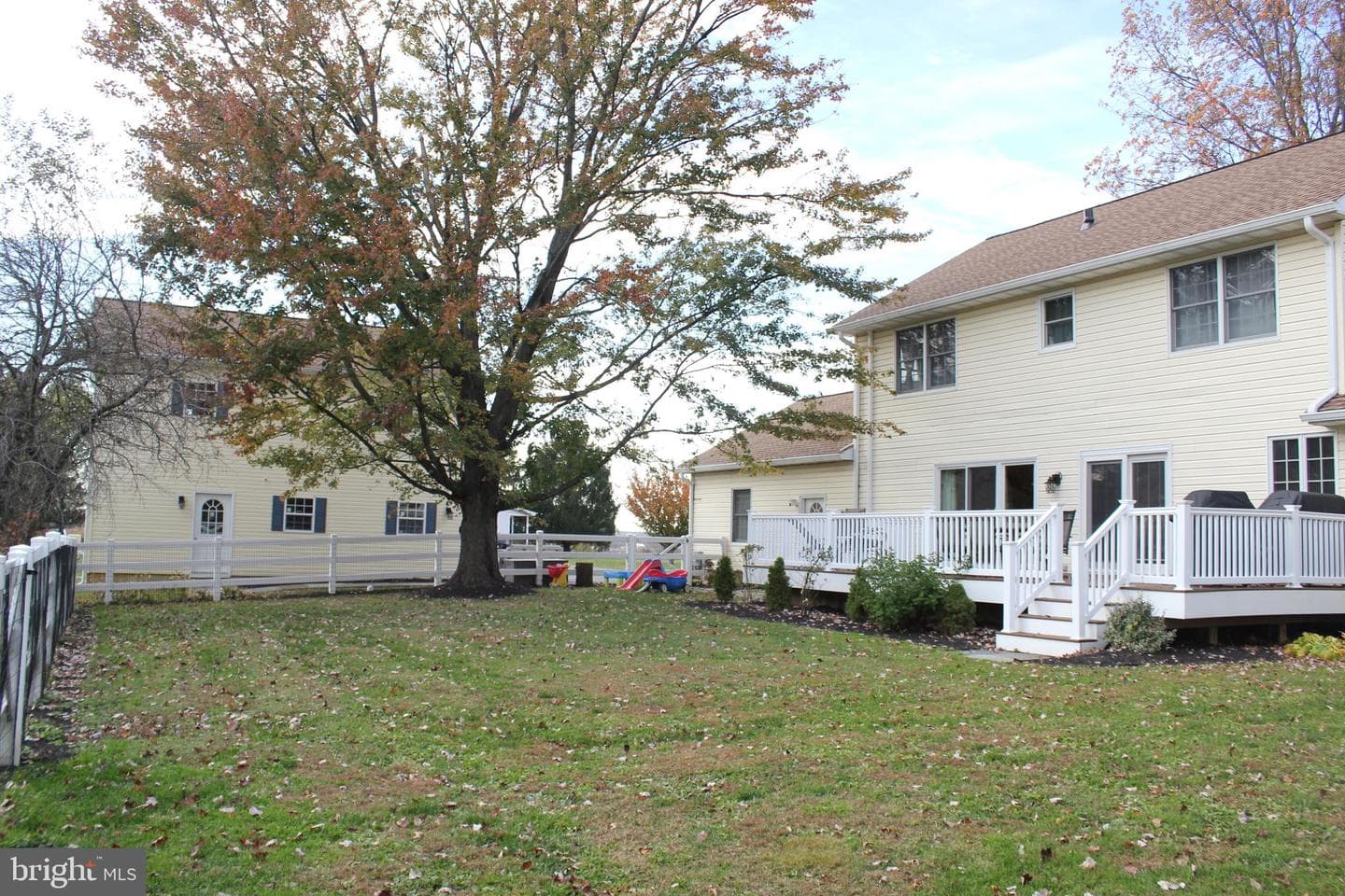 294 Starr photo 66