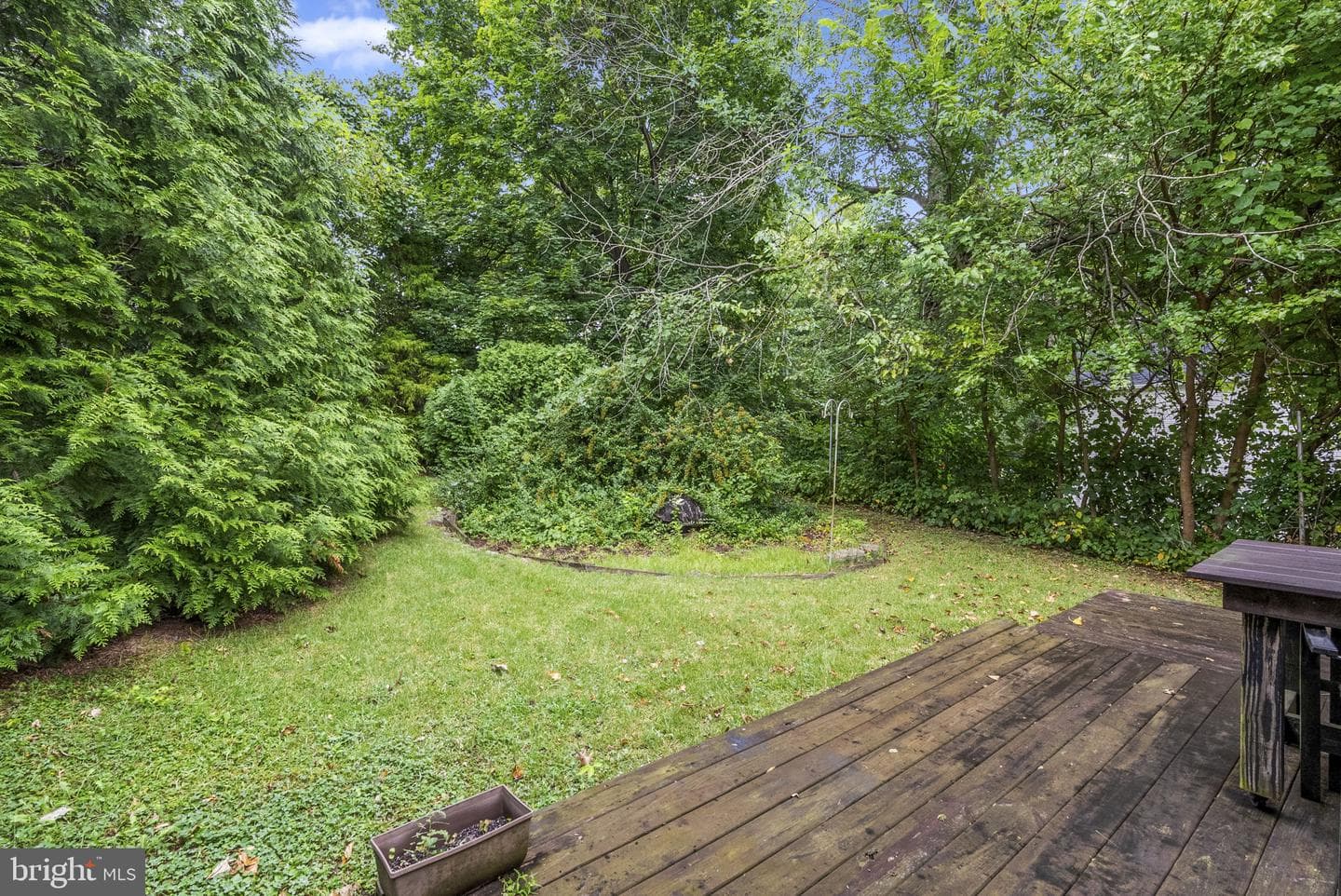 149 Hall Street photo 33