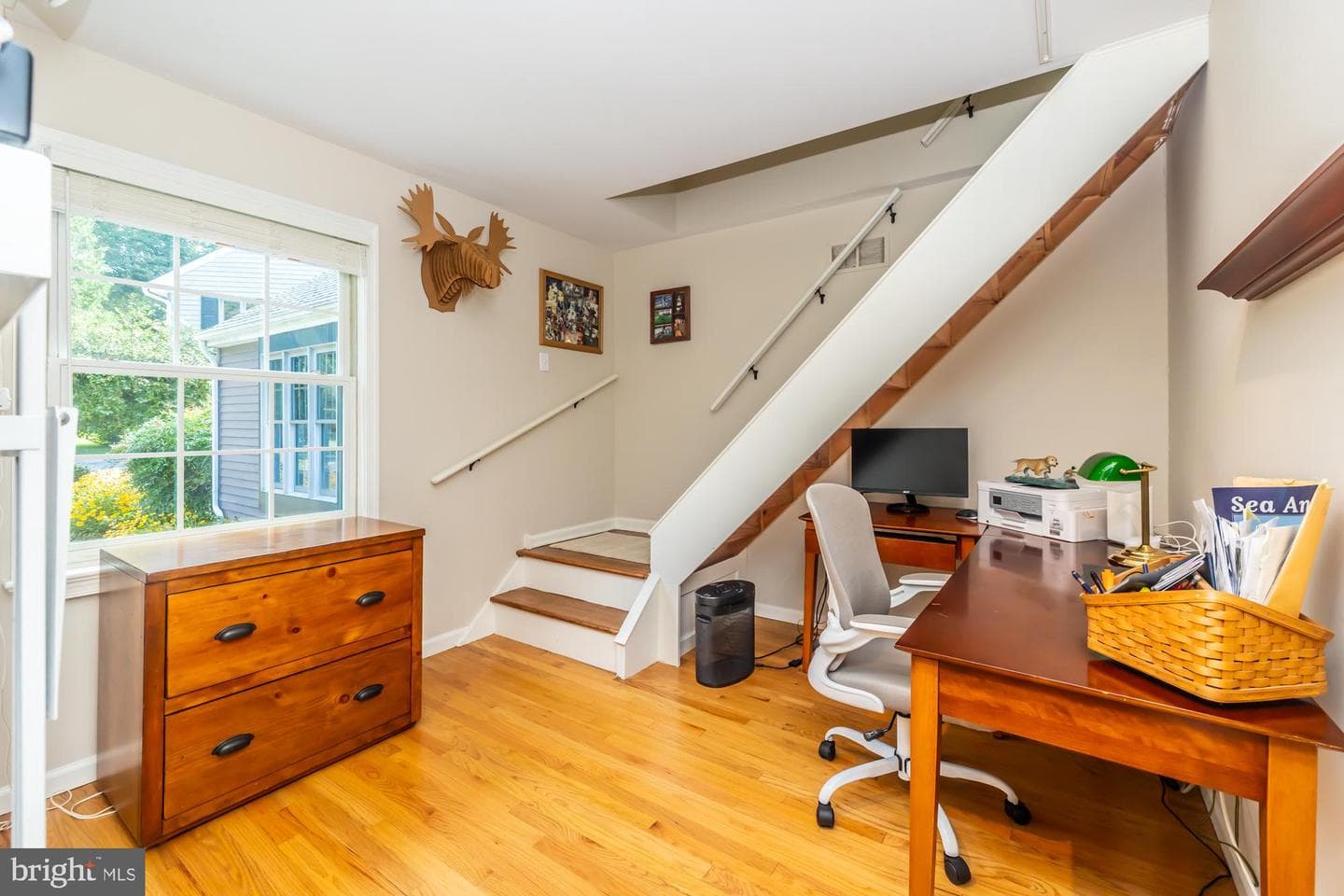 8 Woodland Drive photo 37