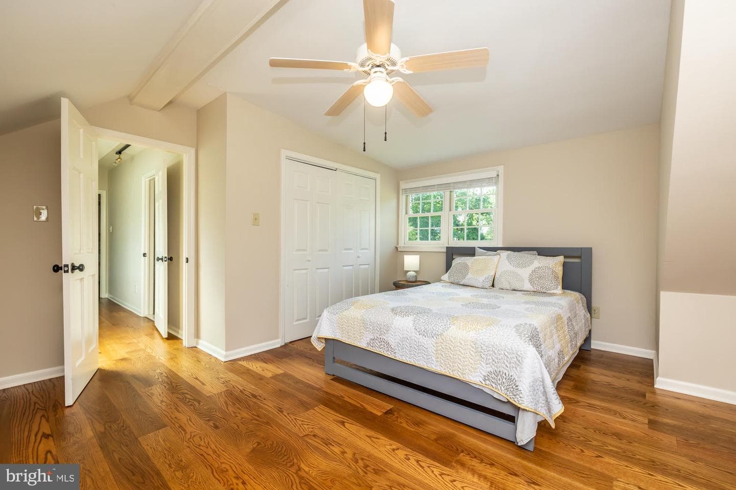 8 Woodland Drive photo 47
