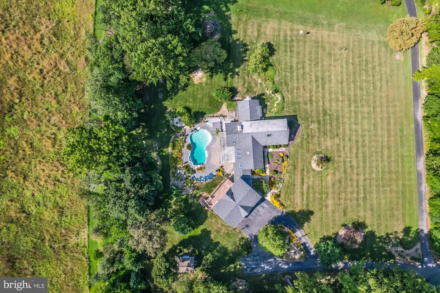 8 Woodland Drive photo 49