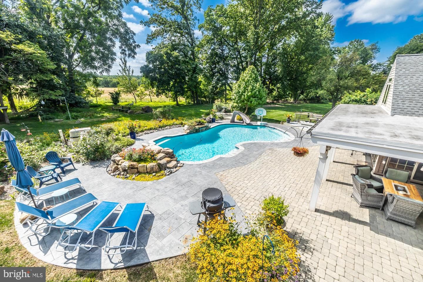 8 Woodland Drive photo 54