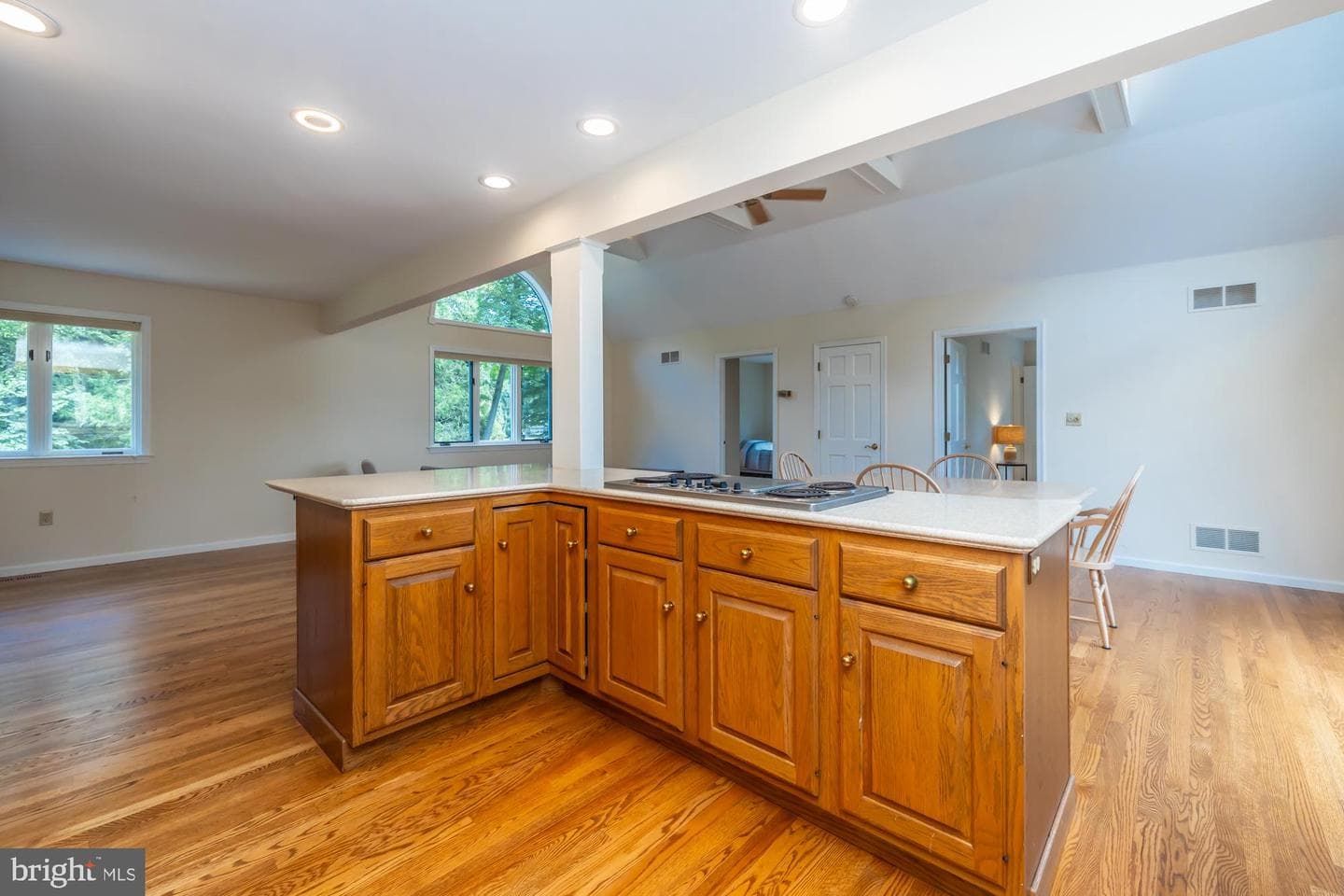 8 Woodland Drive photo 62