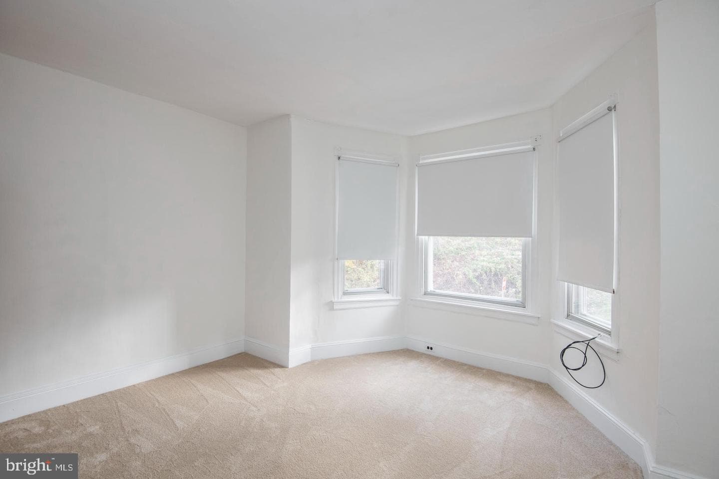 763 Oak Street photo 8