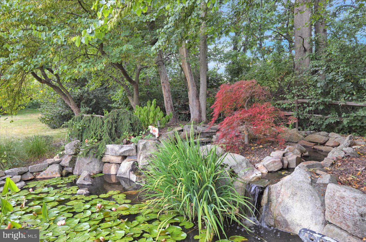85 Bollinger Road photo 13