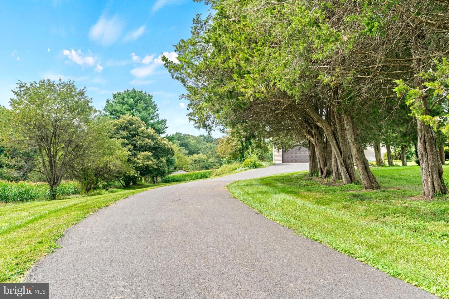 170 Sunset Road photo 50