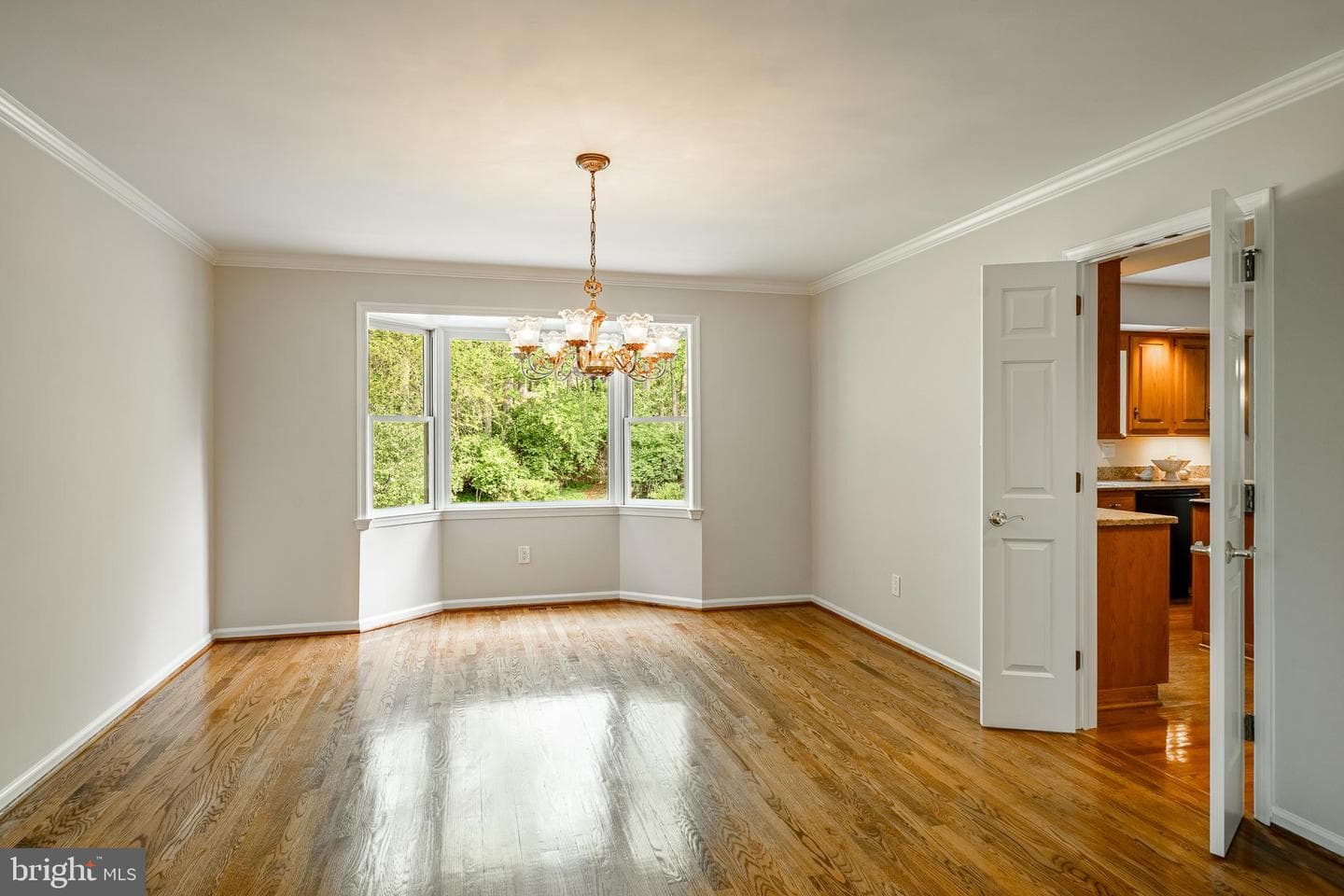 223 Cheshire Circle photo 11