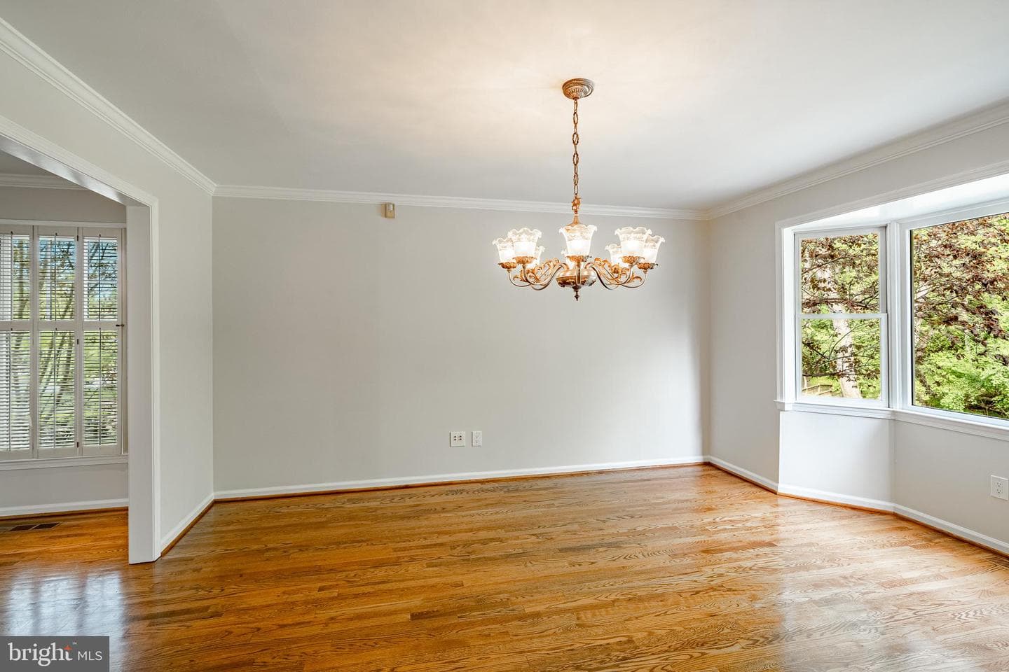 223 Cheshire Circle photo 12