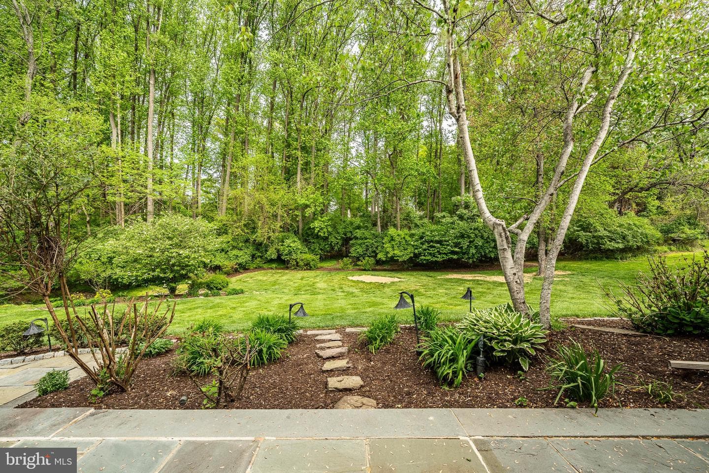 223 Cheshire Circle photo 57