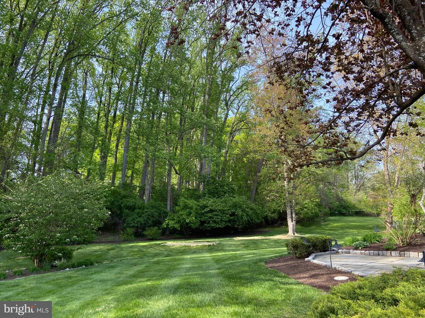 223 Cheshire Circle photo 58