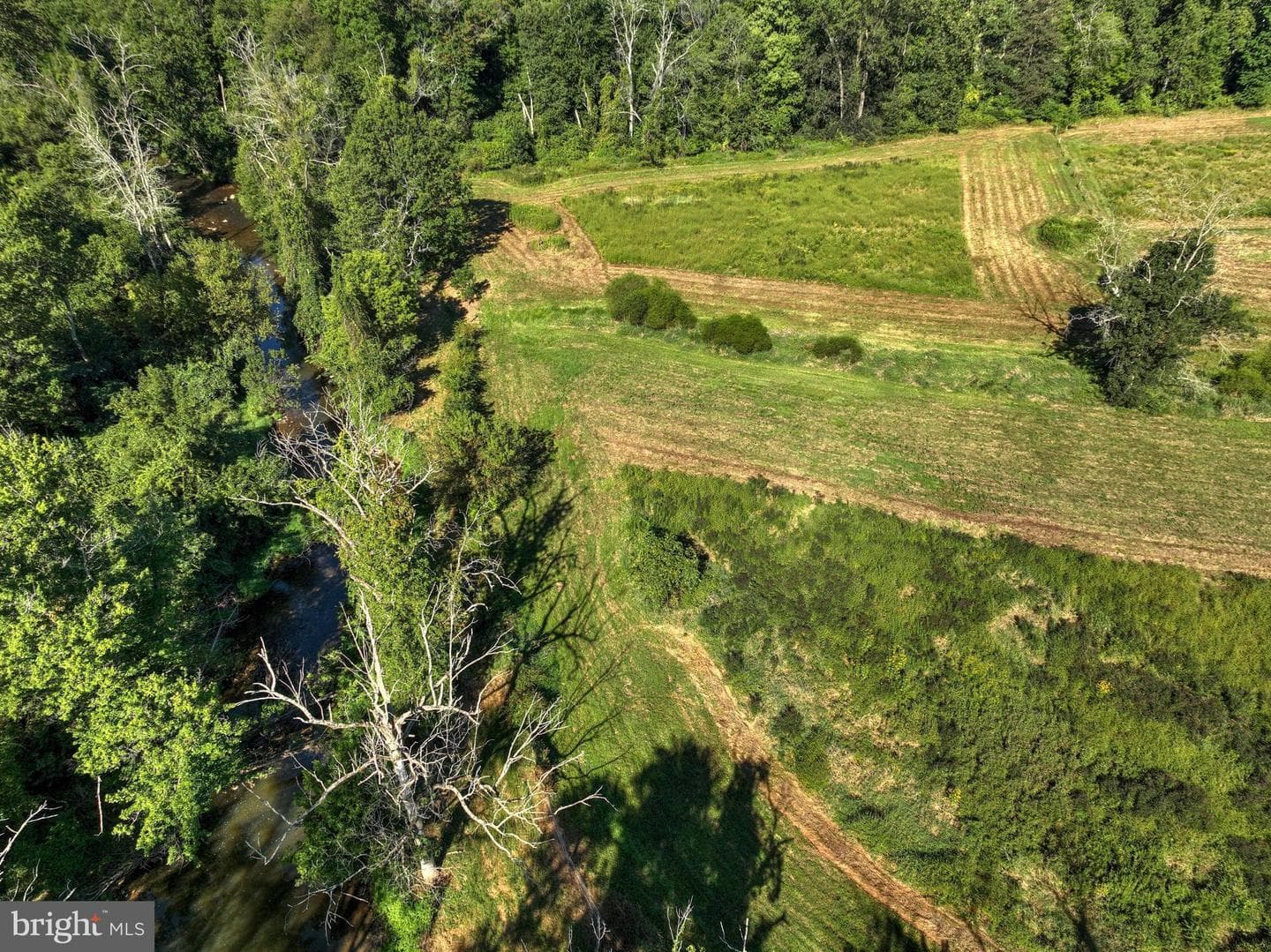 128 Brandamore Road photo 61