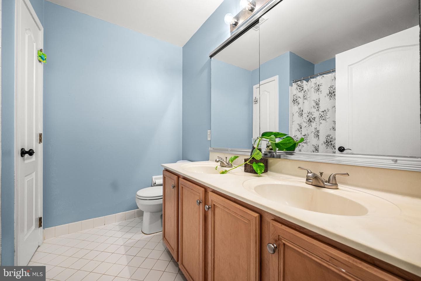 180 Birchwood Drive photo 24