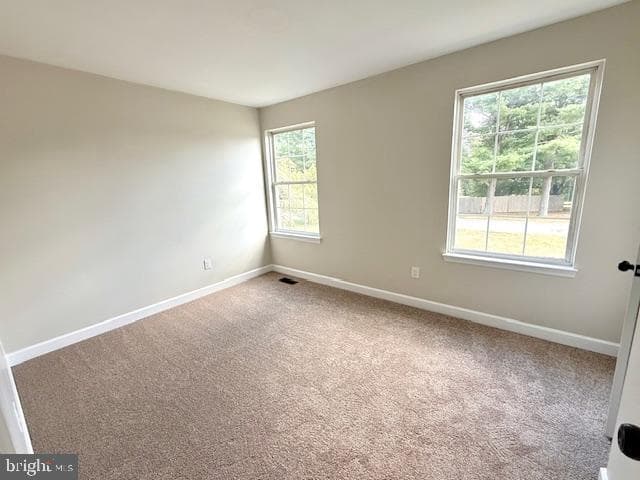 310 Trotters Way photo 9