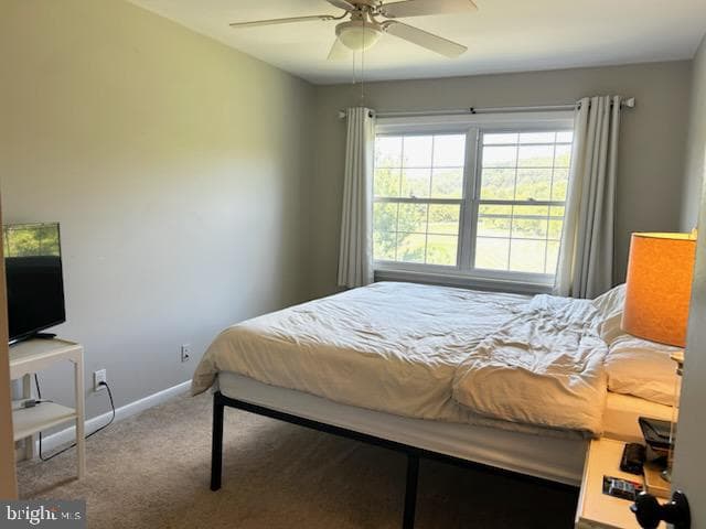 340 Carlyn Court photo 30